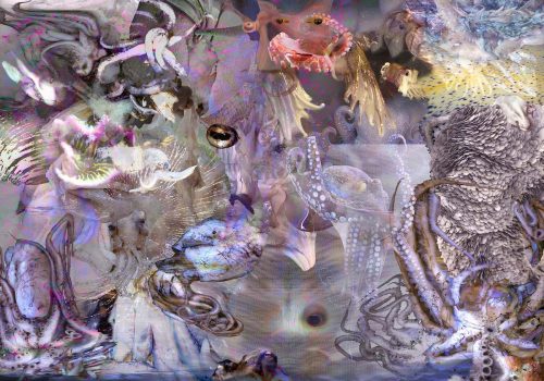 A digital collage in bright marine blues and violets, superimposing various octopuses, cephalopod body parts and CGI artifacts together into a melting pot of shapes, colours, and motion. The composition of the image is very dynamic, giving the impression of constant commotion that draws the viewer into a maelstrom of submarine body forms. The explosion of diverse shades and textures has a totalising quality, aiming to replace the ordinary sensory perception of the human animal with a new, strange vista of digitally mediated cephalopod awareness. Photographic and video collage “The other side of the digital is the octopus” by Maggie Roberts.